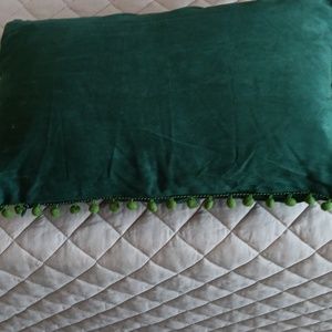 A velvet throw pillow